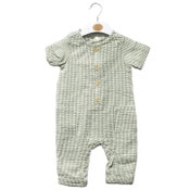 Wholesale - INFANT SAGE. GINGHAM COVERALL C/P 48, UPC: 632878995838